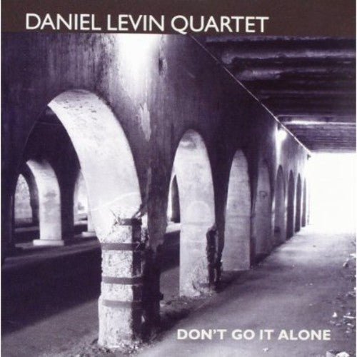 the album cover for Daniel Levin - Don't Go It Alone
