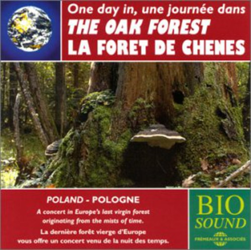 the album cover for Sounds Of Nature - The Oak Forest
