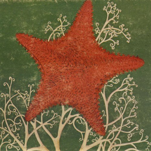 the album cover for Blithe Sons - Arm of the Starfish