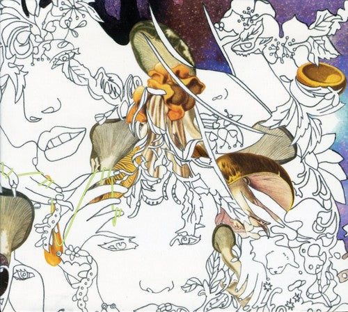 the album cover for Dykehouse - Midrange