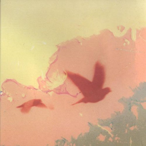 the album cover for Thomas & Sampson - When the Lower Resembles the Higher