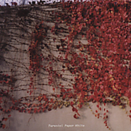 the album cover for Tarentel - Paper White