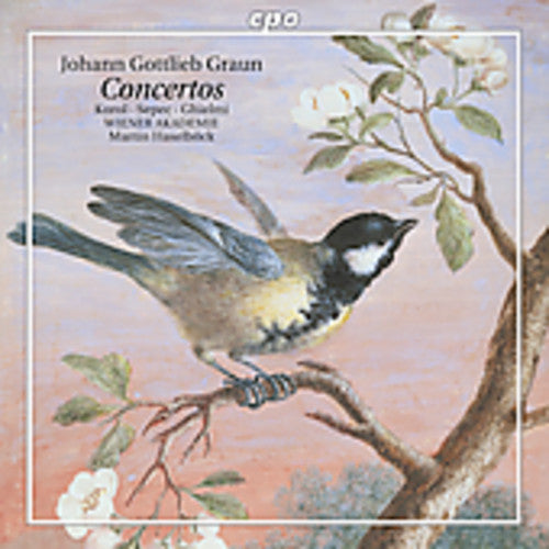 the album cover for Martin Haselböck - Concertos