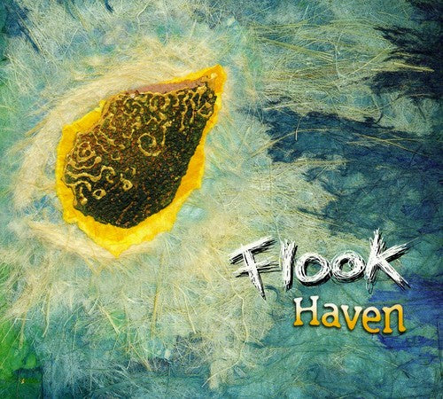 the album cover for Flook - Haven [Import]