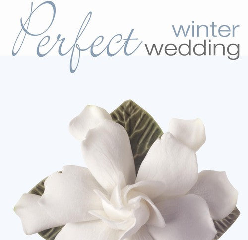 the album cover for Perfect Wedding Winter / Various - Perfect Wedding: Winter / Various