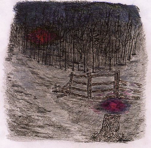 the album cover for Telepathe - Farewell Forest