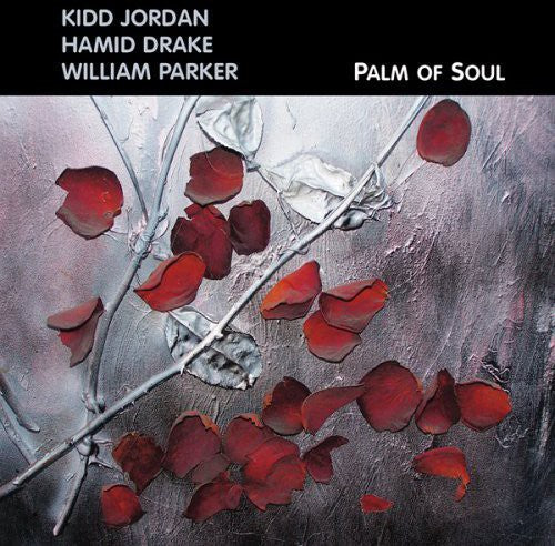 the album cover for Jordan/Drake - Palm of Soul