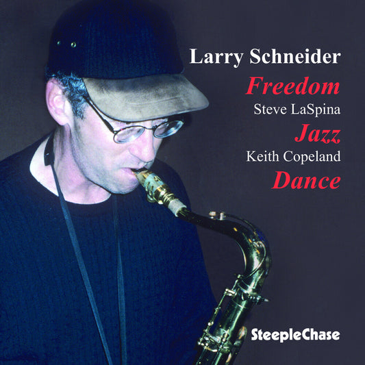 the album cover for Larry Schneider - Concrete Canyon