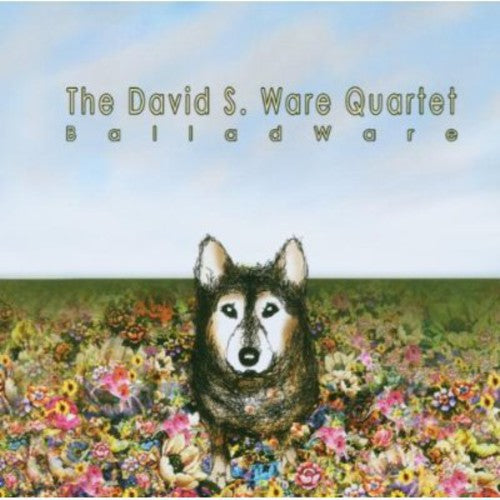 the album cover for David S. Ware - Balladware