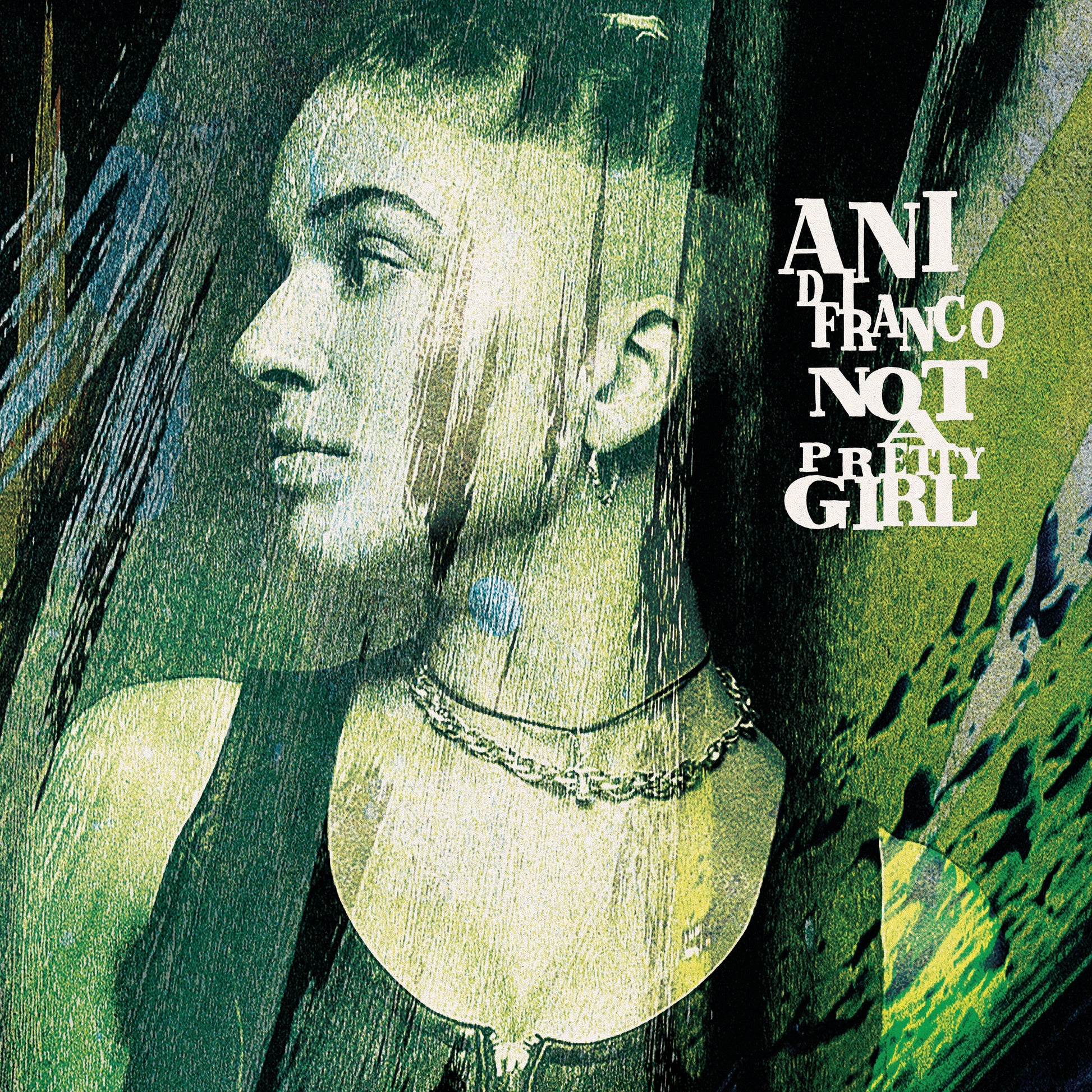 cover art for Ani DiFranco - Not a Pretty Girl (30th Anniv.)
