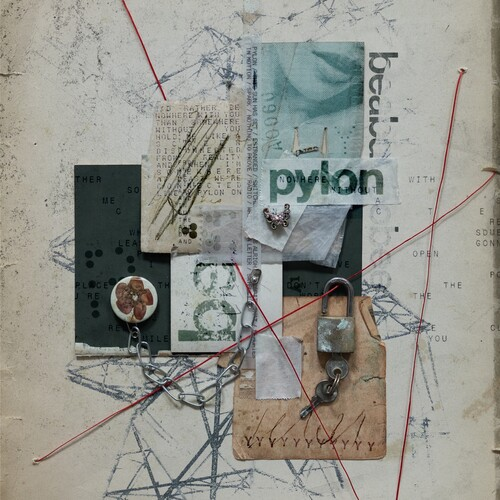 cover art for Beabadoobee - Pylon