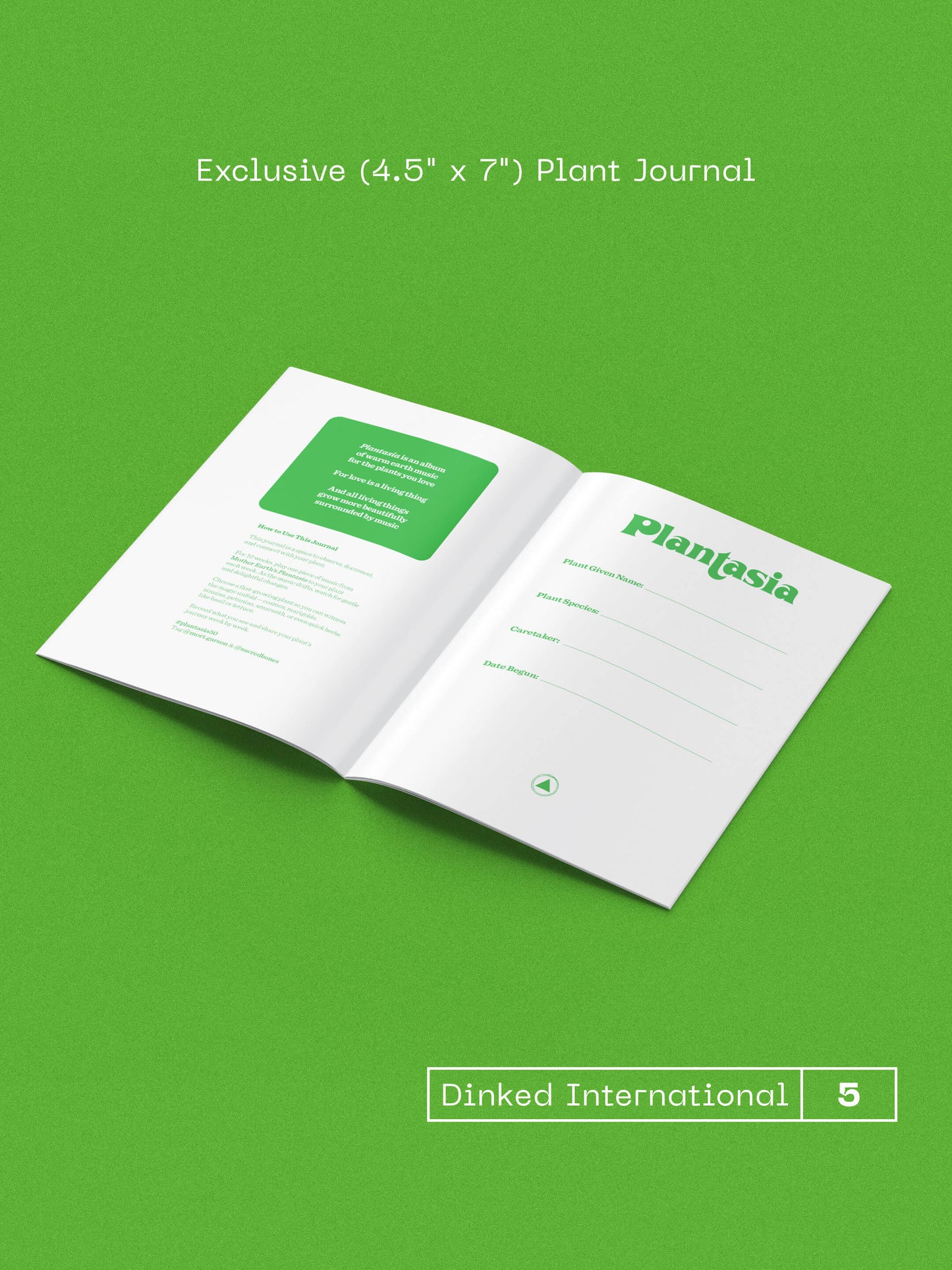 Pre-Order: Mort Garson - Mother Earth's Plantasia (50th Anniversary Edition) [Dinked Edition Spruce LP w/ Plant Journal]