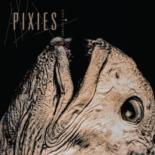 cover art for Pixies - Complete B Sides: 1988-97