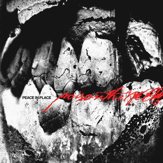 cover art for Poison The Well - Peace in Place
