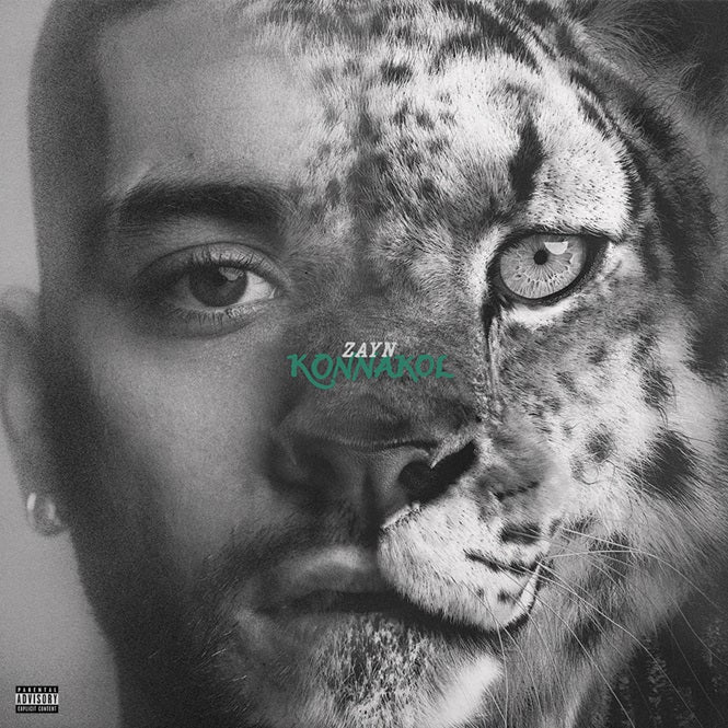 album art for Zayn - Konnakol