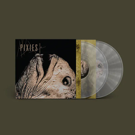 product mockup for Pixies - Complete B Sides: 1988-97 [Indie Exclusive Clear 2LP]